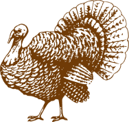 Get fundraising quickly and easily in Canada with Thanksgiving Turkey 