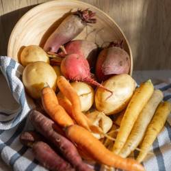 Farm to School Veggie Bundles