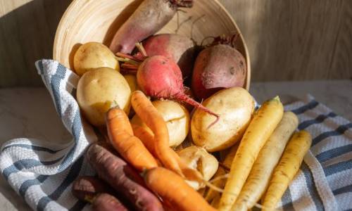 Farm to School Veggie Bundles