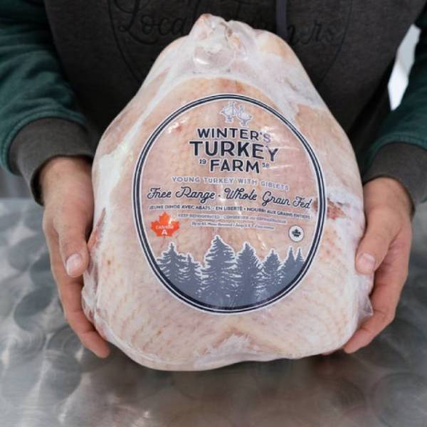 Frozen Whole Free Range Turkey